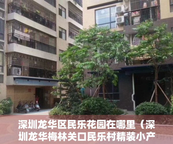 深圳龙华区民乐花园在哪里（深圳龙华梅林关口民乐村精装小产权房（明乐新苑）房价怎么样？）