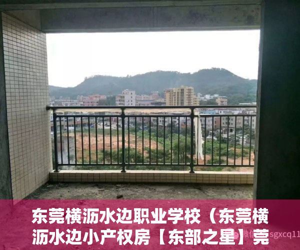 东莞横沥水边职业学校（东莞横沥水边小产权房【东部之星】莞盛学校，横沥职教城零距离，开盘前一个星期将推出两套骨折价房源，先到先得，慢的拍大腿）