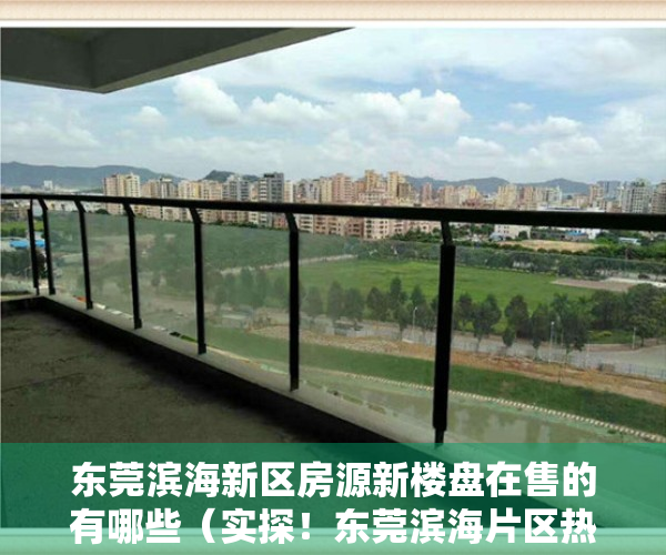 东莞滨海新区房源新楼盘在售的有哪些（实探！东莞滨海片区热门新盘进度曝光！最快入市的是……）
