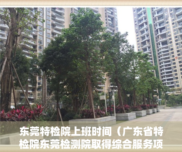 东莞特检院上班时间（广东省特检院东莞检测院取得综合服务项目不动产权证书）