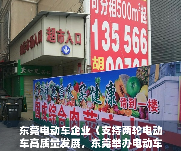 东莞电动车企业（支持两轮电动车高质量发展，东莞举办电动车产业高峰论坛）