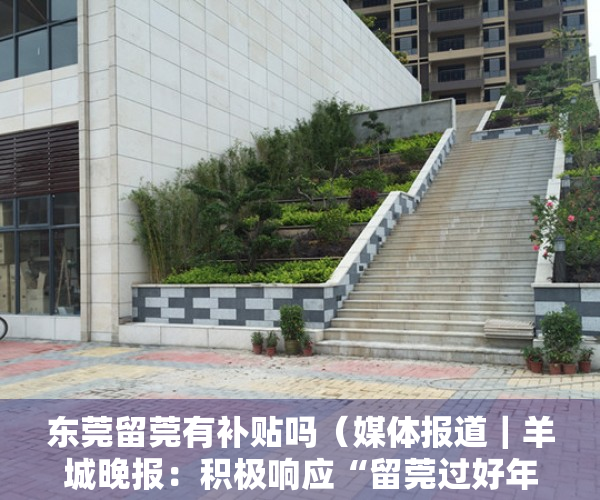 东莞留莞有补贴吗（媒体报道｜羊城晚报：积极响应“留莞过好年”，租赁企业东莞安居公司在行动！）