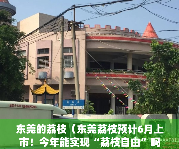 东莞的荔枝（东莞荔枝预计6月上市！今年能实现“荔枝自由”吗？）(东莞荔枝怎么样)
