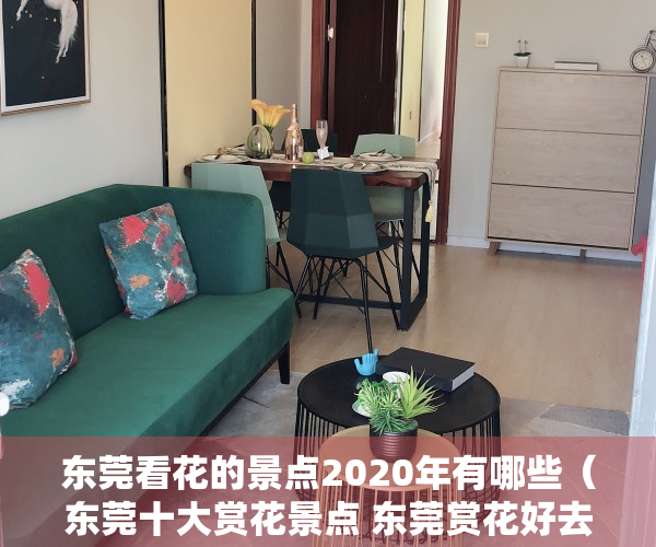 东莞看花的景点2020年有哪些（东莞十大赏花景点 东莞赏花好去处 热门赏花景点推荐）