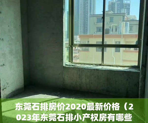 东莞石排房价2020最新价格（2023年东莞石排小产权房有哪些？）(东莞石排房价2021最新价格走势)