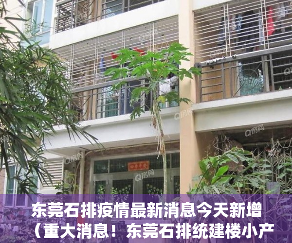 东莞石排疫情最新消息今天新增（重大消息！东莞石排统建楼小产权房《学府1号》均价：3700元一平出售 南北通透 名校环绕 公园相伴 步行街为邻，70年产权宅基地）