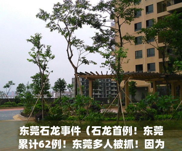 东莞石龙事件（石龙首例！东莞累计62例！东莞多人被抓！因为没做这事）(东莞石龙凶杀)
