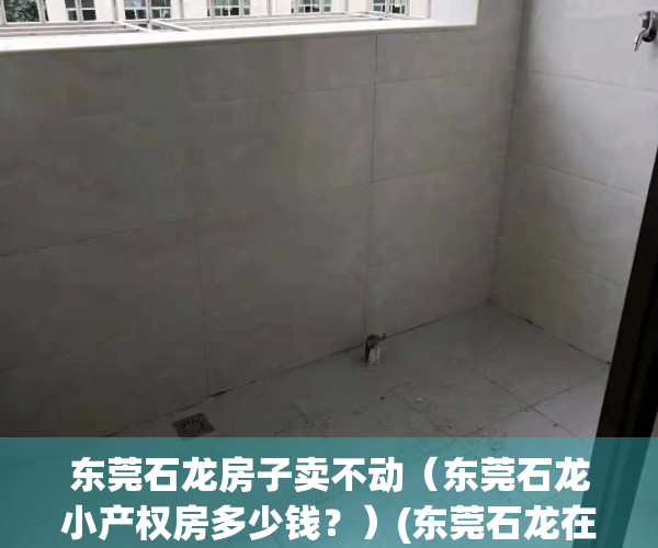 东莞石龙房子卖不动（东莞石龙小产权房多少钱？）(东莞石龙在售楼盘)
