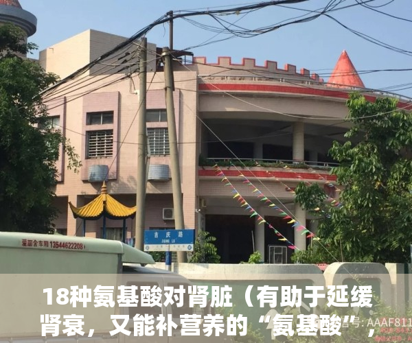18种氨基酸对肾脏（有助于延缓肾衰，又能补营养的“氨基酸”，肾友有了解过吗？）