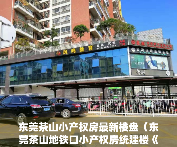 东莞茶山小产权房最新楼盘（东莞茶山地铁口小产权房统建楼《盛泰花园》均价6000元一平出售，使用率高达86%，4栋大型花园小区统建楼 自带停车场配套齐全）