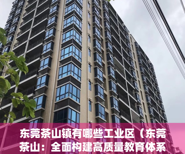 东莞茶山镇有哪些工业区（东莞茶山：全面构建高质量教育体系）(广东省东莞市茶山镇有什么企业)