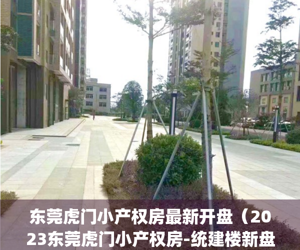 东莞虎门小产权房最新开盘（2023东莞虎门小产权房-统建楼新盘推荐！）(东莞虎门小产权房价格多少)