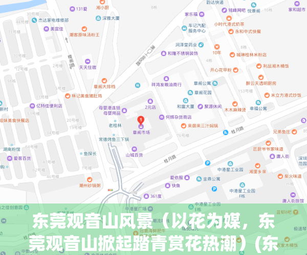 东莞观音山风景（以花为媒，东莞观音山掀起踏青赏花热潮）(东莞观音山 景点)