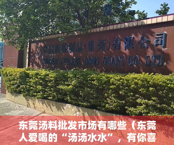东莞汤料批发市场有哪些（东莞人爱喝的“汤汤水水”，有你喜欢的那款吗？）