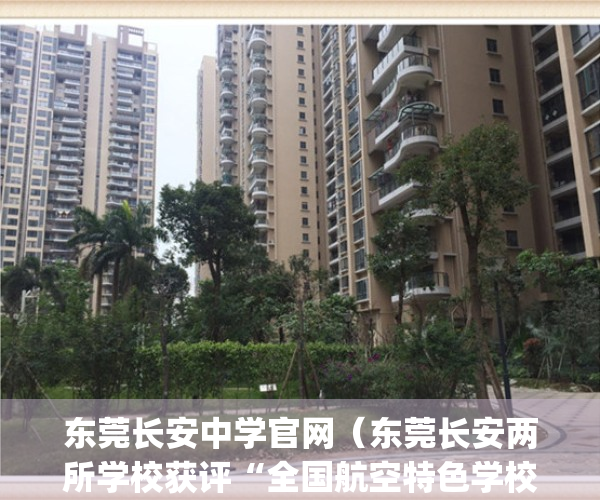 东莞长安中学官网（东莞长安两所学校获评“全国航空特色学校”）(东莞长安中学简介)