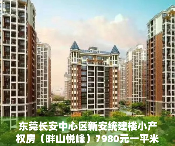 东莞长安中心区新安统建楼小产权房（畔山悦峰）7980元一平米出售-现房可分期