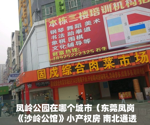 凤岭公园在哪个城市（东莞凤岗《沙岭公馆》小产权房 南北通透双阳台单价6000元）