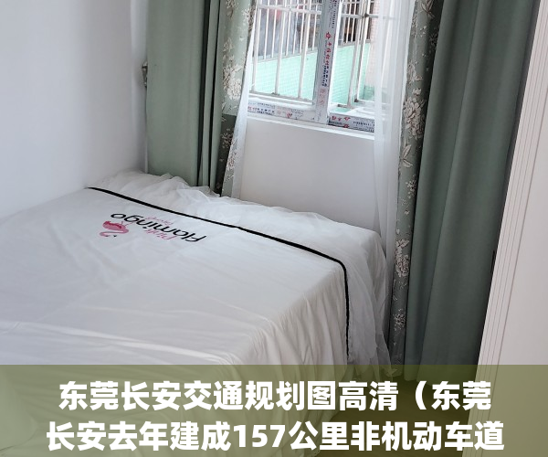 东莞长安交通规划图高清（东莞长安去年建成157公里非机动车道）(东莞长安会通地铁吗)