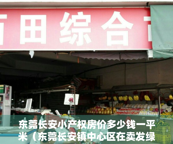 东莞长安小产权房价多少钱一平米（东莞长安镇中心区在卖发绿本花园小区小产权房出售长安中心区在卖开发商集资自建小产权房新盘出售拎包入住现房可分期）