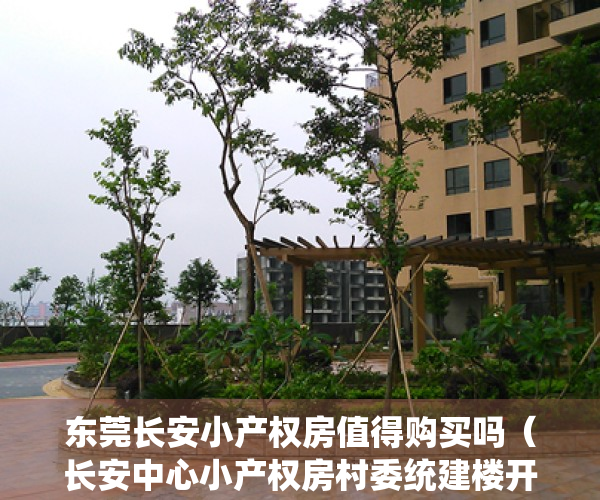 东莞长安小产权房值得购买吗（长安中心小产权房村委统建楼开盘（东澄居）东莞小产权房（东澄居）长安公园周边小产权房出售（东澄居）花园小区封闭式管理安全报建）