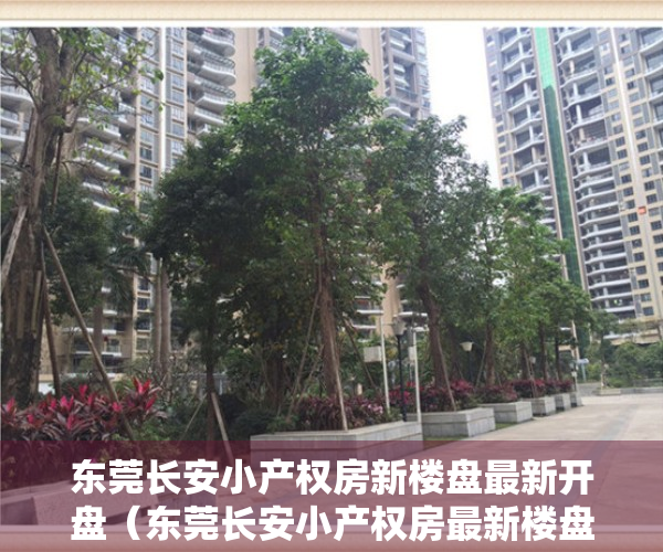 东莞长安小产权房新楼盘最新开盘（东莞长安小产权房最新楼盘时代城3680元／㎡起出售）