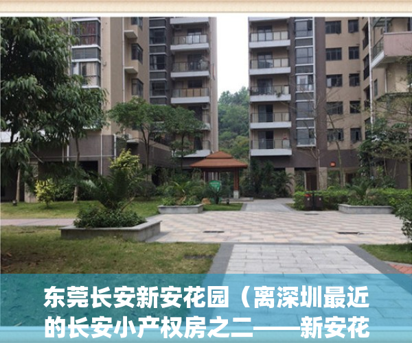 东莞长安新安花园（离深圳最近的长安小产权房之二——新安花园）(东莞市新安花园)