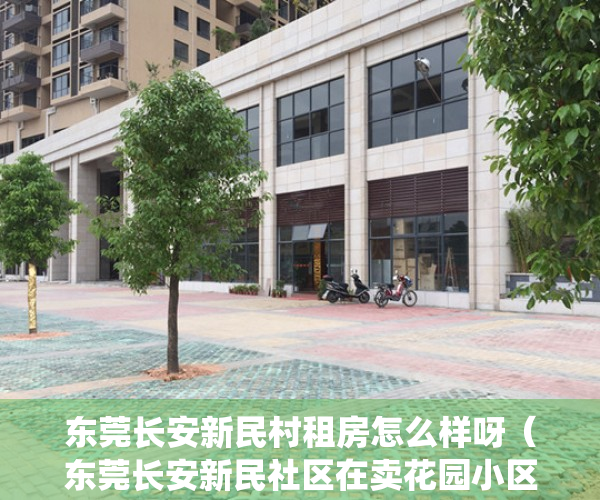 东莞长安新民村租房怎么样呀（东莞长安新民社区在卖花园小区统建楼小产权房出售长安乌沙片区在卖发绿本花园小区集资自建小产权房出售现房可分期）