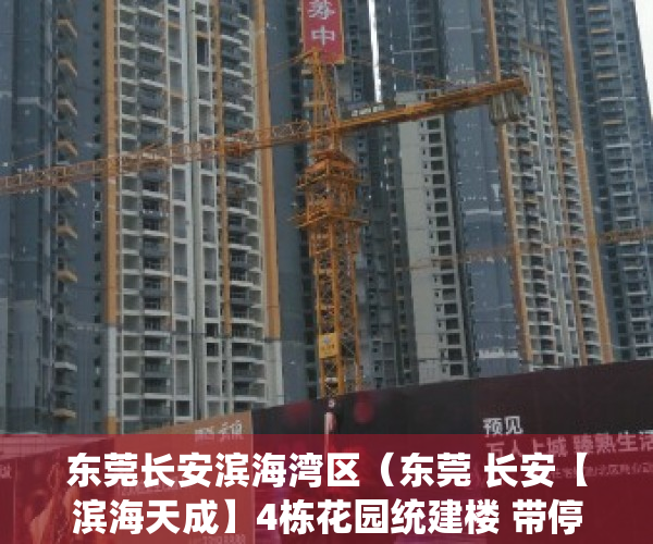 东莞长安滨海湾区（东莞 长安【滨海天成】4栋花园统建楼 带停车场 通燃气 两房首付15万 三房首付25万 分期八年）