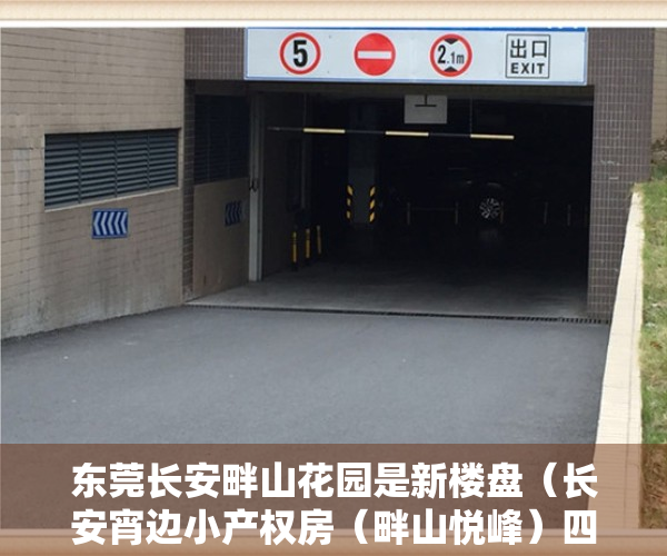 东莞长安畔山花园是新楼盘（长安宵边小产权房（畔山悦峰）四栋小区，有地下车位燃气到户）