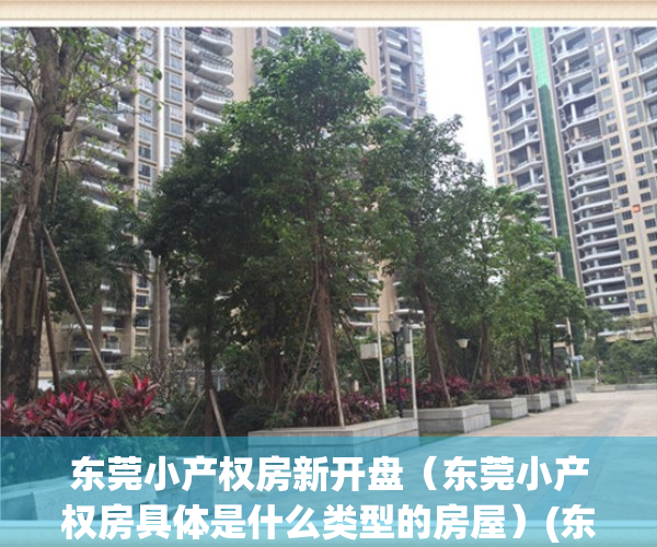东莞小产权房新开盘（东莞小产权房具体是什么类型的房屋）(东莞小产权房最新楼盘)