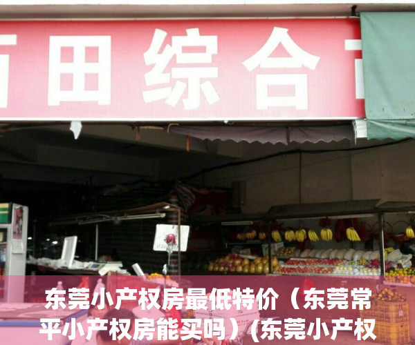 东莞小产权房最低特价（东莞常平小产权房能买吗）(东莞小产权房多少钱一平方)