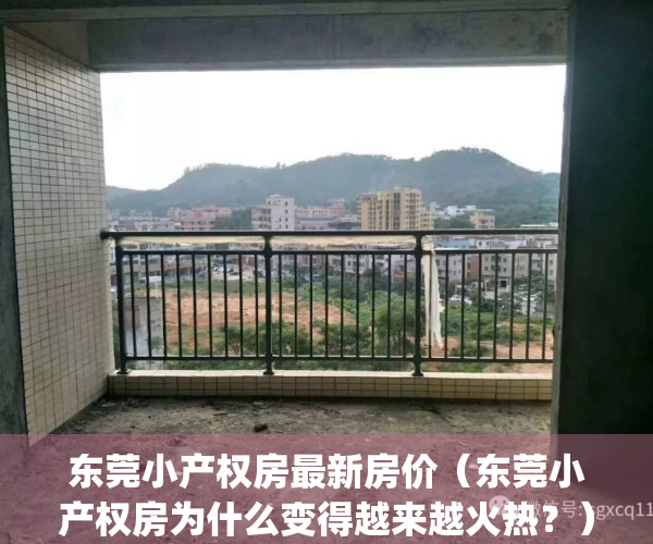 东莞小产权房最新房价（东莞小产权房为什么变得越来越火热？）(东莞小产权房最新楼盘)