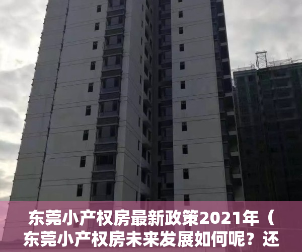 东莞小产权房最新政策2021年（东莞小产权房未来发展如何呢？还可以买吗？）