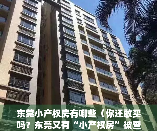 东莞小产权房有哪些（你还敢买吗？东莞又有“小产权房”被查处！）(东莞小产权房开放了吗)