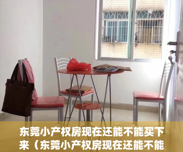 东莞小产权房现在还能不能买下来（东莞小产权房现在还能不能买）(最新2020年东莞小产权房政策)