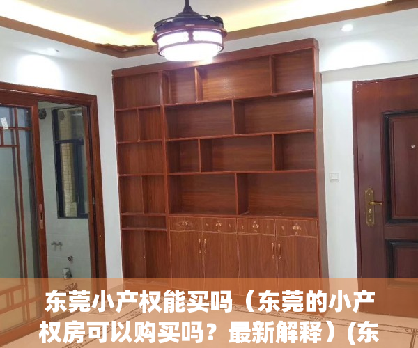 东莞小产权能买吗（东莞的小产权房可以购买吗？最新解释）(东莞小产权好出手吗)