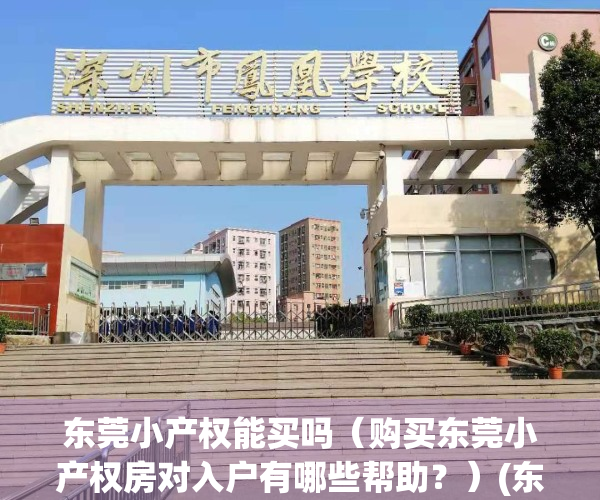 东莞小产权能买吗（购买东莞小产权房对入户有哪些帮助？）(东莞小产权房值得买吗)
