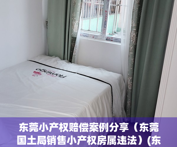 东莞小产权赔偿案例分享（东莞国土局销售小产权房属违法）(东莞小产权政策)