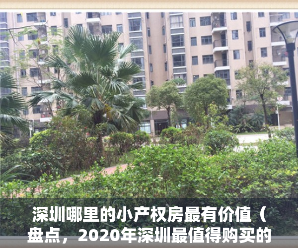 深圳哪里的小产权房最有价值（盘点，2020年深圳最值得购买的小产权房是哪里？最后一个拆迁率高达70%？）