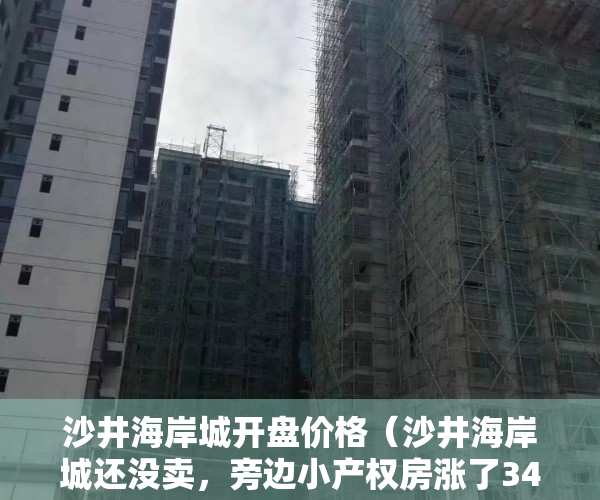 沙井海岸城开盘价格（沙井海岸城还没卖，旁边小产权房涨了34%以上）