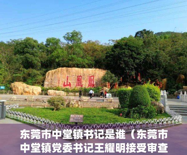 东莞市中堂镇书记是谁（东莞市中堂镇党委书记王耀明接受审查调查）(东莞市中堂镇现任书记)
