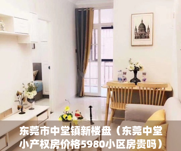 东莞市中堂镇新楼盘（东莞中堂小产权房价格5980小区房贵吗）(东莞中堂房价2021最新价格走势)