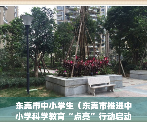 东莞市中小学生（东莞市推进中小学科学教育“点亮”行动启动）(2021年东莞市中小学生艺术展演)