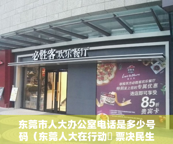 东莞市人大办公室电话是多少号码（东莞人大在行动㊺ 票决民生实事项目的东莞实践）