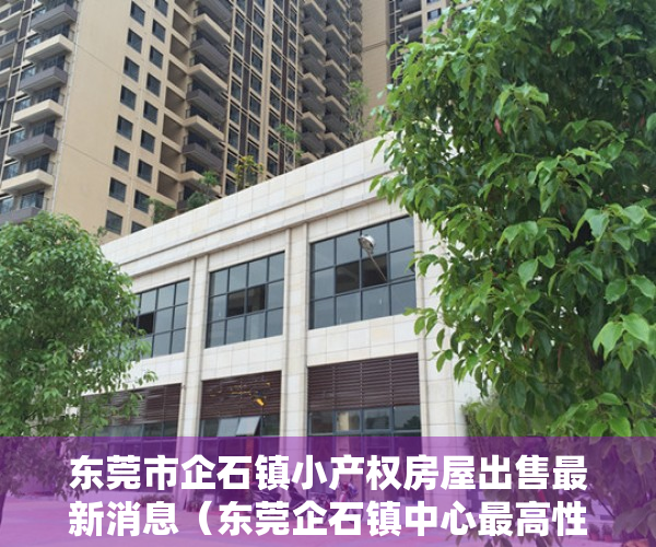 东莞市企石镇小产权房屋出售最新消息（东莞企石镇中心最高性价比新楼盘开盘小产权房「温馨大厦」均价2980，无条件分期八年）