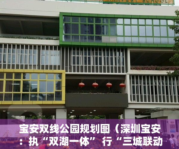 宝安双线公园规划图（深圳宝安：执“双湖一体” 行“三城联动” 科创石岩开启跨越发展元年）