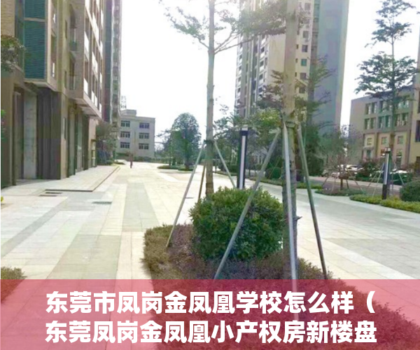 东莞市凤岗金凤凰学校怎么样（东莞凤岗金凤凰小产权房新楼盘出售【东凤豪庭】70年产权合作建房，证件齐全，律师见证 安全保障 ，十分钟到龙岗 五分钟上高速！）