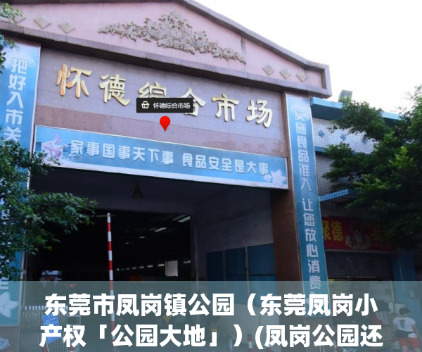 东莞市凤岗镇公园（东莞凤岗小产权「公园大地」）(凤岗公园还开放吗)