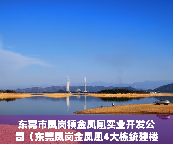 东莞市凤岗镇金凤凰实业开发公司（东莞凤岗金凤凰4大栋统建楼小产权房【凤凰国际】首付88万起，带地下停车场、管道天然气，无条件分期）