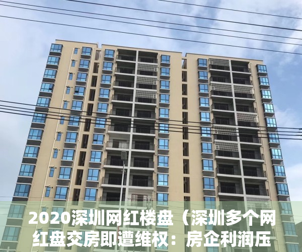 2020深圳网红楼盘（深圳多个网红盘交房即遭维权：房企利润压缩扣成本，有房企贴钱保交付）
